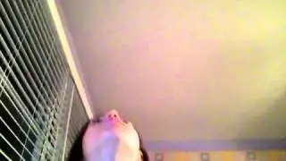 TFIOS trailer reaction