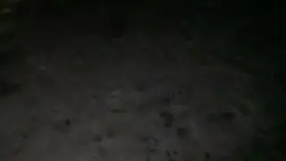 8in of snow