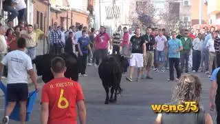 encierro de OLIAS
