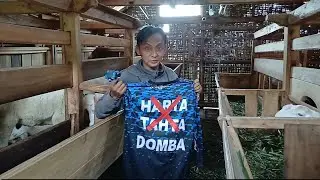 PAKET BAKALAN BREEDING DOGAR KE CIKIJING MAJALENGKA