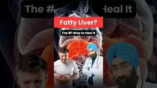 The Best Treatment to Reverse Fatty Liver