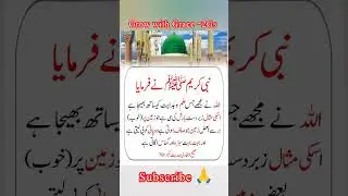 نبی کریم صلی اللہ علیہ والہ وسلم نے فرمایا اللہ نے مجھے جس علم و ہدایت کے ساتھ بھیجا ہے۔۔!! #shorts