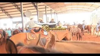 REVOLUTION TEAM ROPING - JUNINO SCARCELLI