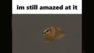 spinning polygon faloppa