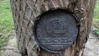 Friends of Victoria Park - GDODDF2020