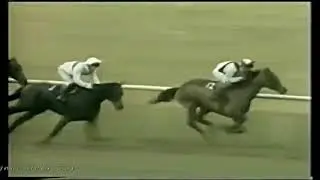 1980 Hennessy Cognac Gold Cup Bright Highway