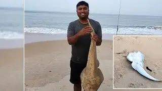 gitar fishing in sea shore mobor goa #fishing #fishingvideo #fish #fishinglife #fish