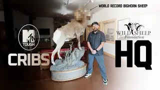 Is This the Biggest Bighorn Sheep Ever? | Inside the Wild Sheep Foundation HQ
