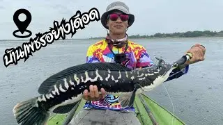 Fishing for snakehead fish at Ban Phet Reservoir.