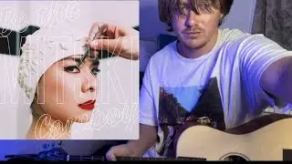 Nobody - Mitski Guitar lesson + Tutorial