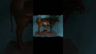 The Brazen Bull  execution device