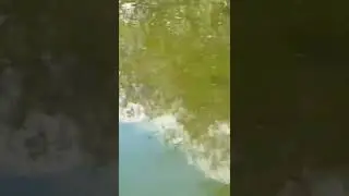 spot monster
