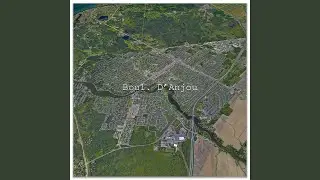 Idiot du village