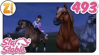 Star Stable [SSO]: Ein schlimmer Verdacht #493 | Let's Play &hearts; [GERMAN/DEUTSCH]