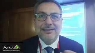 Simone Gamberini (Presidente Legacoop) I Conferenza Nazionale dell&rsquo;Export Fiera Milano