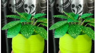 tutorial daun Sri rejeki mungil...kresek setrika #75.....pesanan ke 0816927018