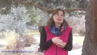 Daylight Savings Time 2013:Spring Ahead