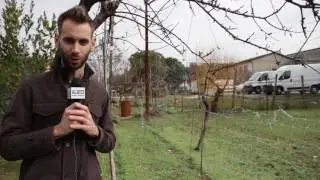 RIMINI: Una ferrovia per San Marino, c’è la volontà | VIDEO