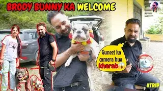 Brody Bunny Ka Welcome in Mussoorie 😍❤️ Dog Story