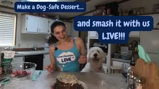 Giant Dog-Safe Chocolate Easter Egg | Giant Easter Egg Treat for Dogs