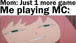 Minecraft Memes 74