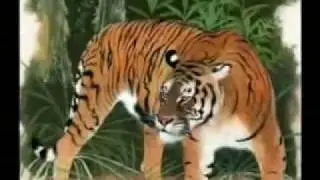 Extinct tiger subspecies (with soundtrack)