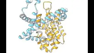 Time-lapse Shows How Anticancer and Antiviral Drugs Get Into Cells