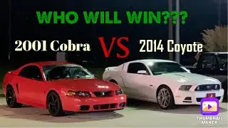 2001 Mustang Cobra Drag Races 2014 5.0 Coyote Mustang CLOSE RACE