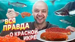Вся правда о красной ИКРЕ! Лучший обзор. Шеф Жарит