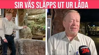 H&auml;r sl&auml;pper Skansen-Jonas ut Sir V&auml;s &ndash; s&aring; m&aring;r ormen