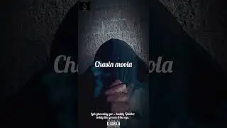 Chasin moola-Luh ghoostiey gee &times; buddy toddler,teddy the grown & bee eye_prod by LGG