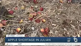 Julian apple farms hit hard by recent heatwave