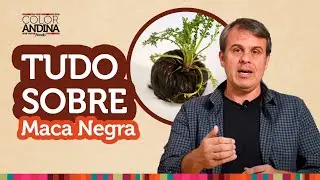Maca Peruana Negra: Funciona mesmo?