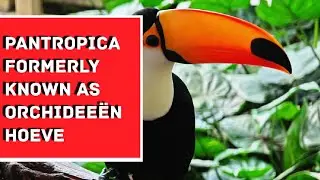[Episode 54] Pantropica Indoor garden walking tour