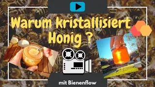 Warum kristallisiert Honig? | Was passiert im Honig? | Kristallisation von Honig