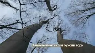 010 Екокоридор Камчия – Емине