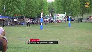 FIESTA ANUAL 2025 de Soc. Nativista La Mariscala - MARTES - Rueda En Pelo