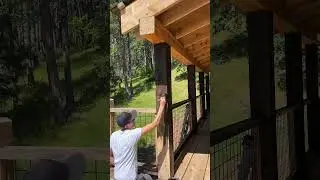 Staining this deck to a beautiful dark color #satisfying #stain #deck #painter #nature #shorts