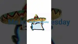 TACO TUESDAY!!