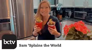 Snip Snip Hooray! Edition | Sam 'Splains the World