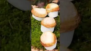 Daily trick that easy your life style #trending #new #youtubeshorts #beauty