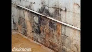 Safeguard Waterproofing and Ram Jack of IL Franklin Park IL 60131-1004