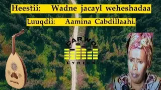Aamina Cabdillaahi|| Wadne jacayl weheshadaa|| Carwo Lyrics.