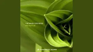 Polar Lights Original Mix