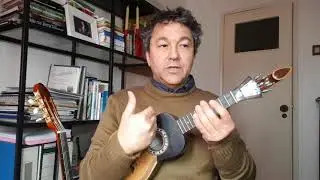 Laurindinha laranja  - Cavaquinho