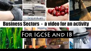 Business sectors -  a video for IGCSE Business Studies  activity