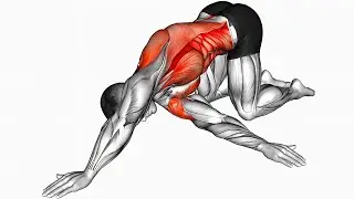 Morning Warm-up Exercise | Warm-up Workout At Home For Beginners