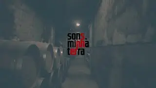 Sons na minha Terra - Concerto T&oacute; Trips
