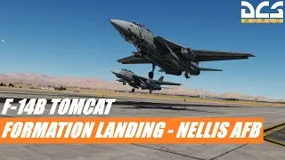 DCS WORLD: F-14B 