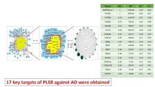 Investigation of mechanism of Plantainoside B in the... - H Agnes Preethy - Poster - RSGDREAM 2023